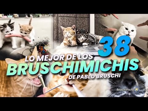 THE BEST OF THE BRUSCHIMICHIS 38 - PABLO BRUSCHI