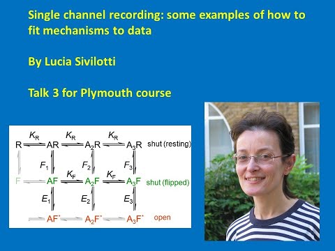 Single channel recording: Fiiting mechanisms to recordings. Lucia Sivilotti, Plymouth talk 3
