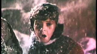 Sonny and the Sunsets - Too Young To Burn (Music Video)