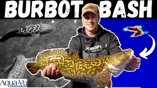 Crazy Burbot/Eeelpout Action! | Underwater + LiveScope Footage