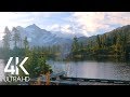 8 Hours Of Birds Singing On The Lakeshore And Water Sounds Relaxing Nature Sounds Mount Shuksan