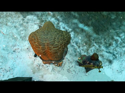 This Is What Captured Ologs Talk About! - Shadow Of War