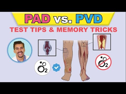 PAD vs PVI cartoon animation & memory tricks peripheral arterial disease pathophysiology, signs