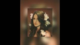 ‘I just smile, cause babe, I already know’ | Lana Del Rey playlist (Released + Unreleased)