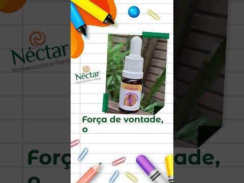 Volta Ã s aulas!  Momentos com mais correria, atenÃ§Ã£o, disciplina e foco. 