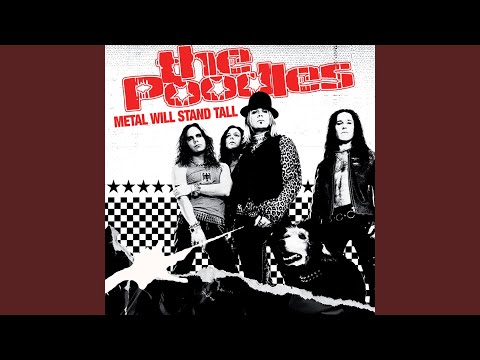 Echoes From the Past - The Poodles