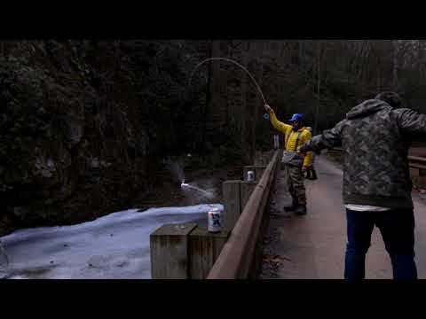 SCOF - Pigfarm - 2018