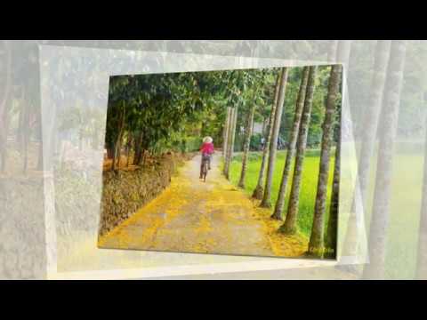 Quảng Nam quê hương tôi - Tiến Dũng