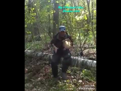 Riq Technuque,Riq Solo,Free style Riq Solo,Profossional Riq Player