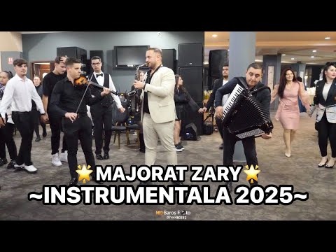 Marian Magheru || Formatia Magheru || INSTRUMENTALA 2025 (Majorat Zary) cover