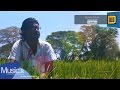 uruma-aadare-enosh-perera-06-05-2014