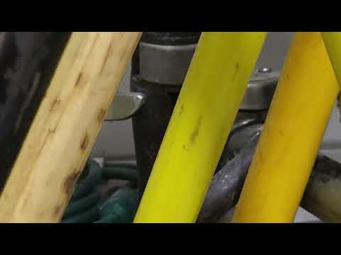 Heavy Fruit Fly Activity in the Broom Closet in Freehold, NJ