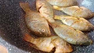 Download lagu Wokpan Germanium Masak Telor Dadar, Ikan Bakar Pisang Bakar mp3