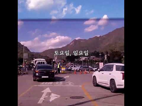 길 막힐 때 빨리가는 법 #shorts