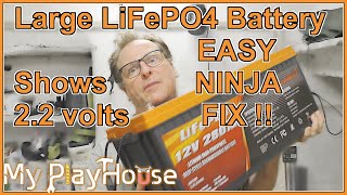 Fixing Big LiFePO4 Battery by Shorting BMS In & Out Port - 1529