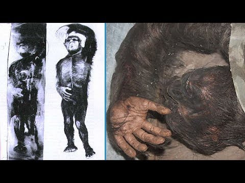 How does preservation affect our understanding of the prehistoric archaeological record?