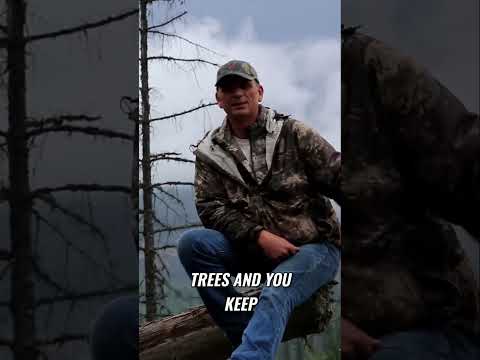 Bigfoot Evidence: They Are More Advanced Than We Think!