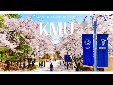 봄, 국민대학교 🌸｜국민대학교 캠퍼스 계절 영상