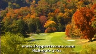 preview picture of video 'Peppertree Resort, Maggie Valley'