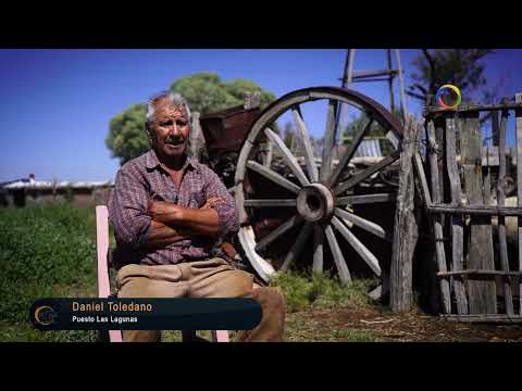 Estancias y Tradiciones 172  / Puesto Las Lagunas.