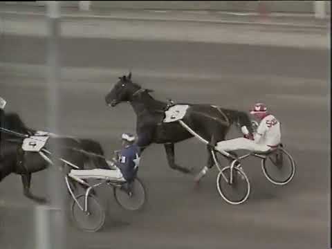 Åby Stora Pris 1984