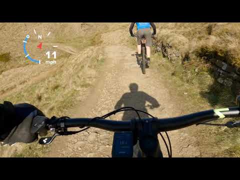 cube stereo hybrid 160 hpc sl downhill showing its strengths