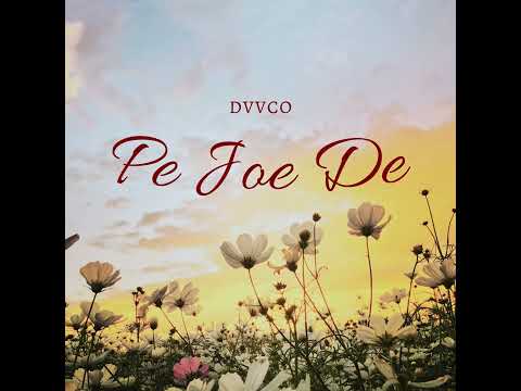 DVVCO - PE JOE DE