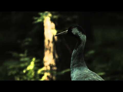 Ukonvaaja teaser trailer