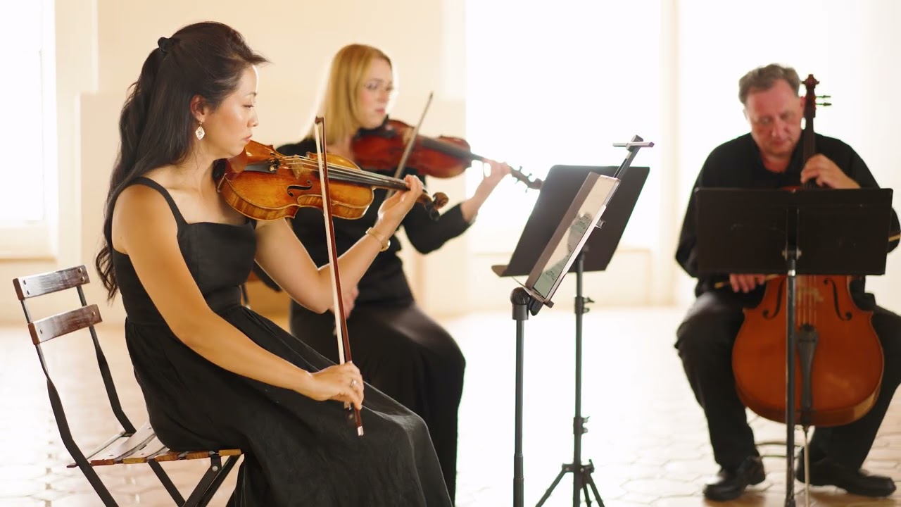 Pachelbel: Canon in D. Project String Quartet