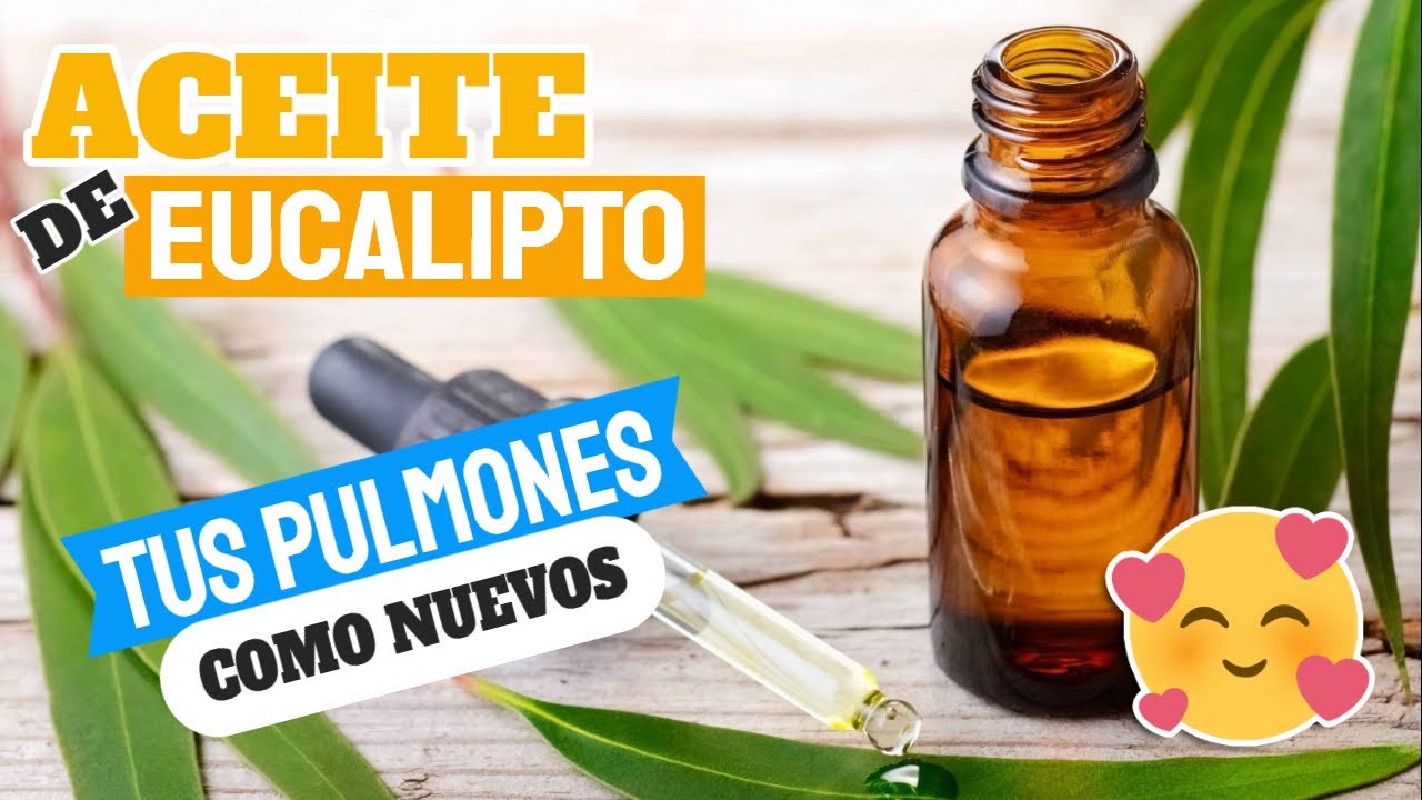 Watch BENEFICIOS DEL ACEITE DE EUCALIPTO: PARA AFECCIONES RESPIRATORIAS, Y HASTA EL CABELLO Now BENEFICIOS DEL ACEITE DE EUCALIPTO: PARA AFECCIONES RESPIRATORIAS, Y HASTA EL CABELLO