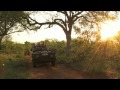 Everyday Life As A Safari Guide Student Eco Training