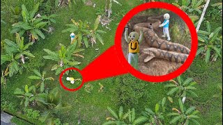 Download lagu UPLIN CAUGHT THE SNAKE KING OF THE COLLAPSED DURIAN VILLAGE?! mp3