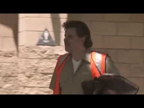 The Majestic Plastic Bag - Video Essay