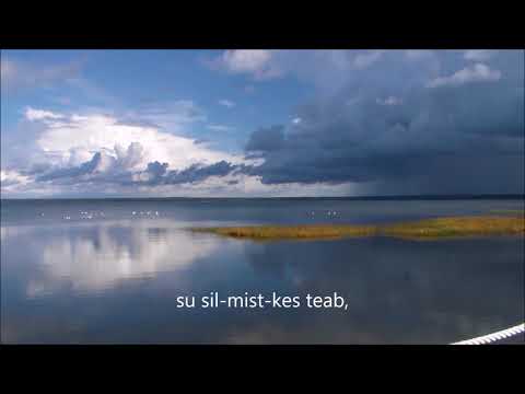 Veel viivuks jää-(Sag nicht adieu)-Estonian Song by Raimond Valgre sung in German ...