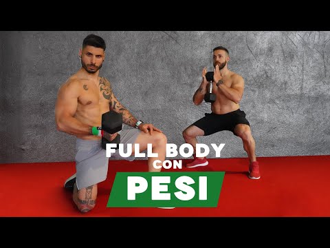 COMPLETE FULL BODY WORKOUT WITH ONLY TWO DUMBBELLS