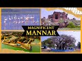 Magnificent Mannar | Sri Lanka