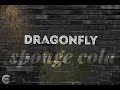 Dragonfly-Sponge Cola (Lyrics)