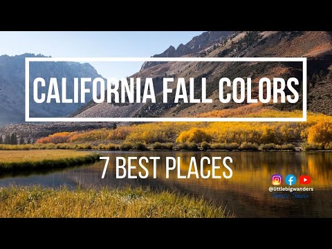 DON'T MAKE OUR MISTAKE! California Fall Leaves - 7 BEST PLACES to view fall leaves and fall colors