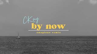 CKay -  by now (amapiano remix) [Lyric video]