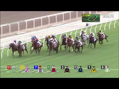 30/1/2022 (377) Voyage Star -  A Badel