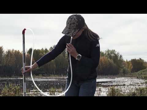 Understanding wetland hydrology