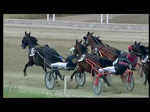 Napoli Trotto 23/05/2021 - 2ª corsa