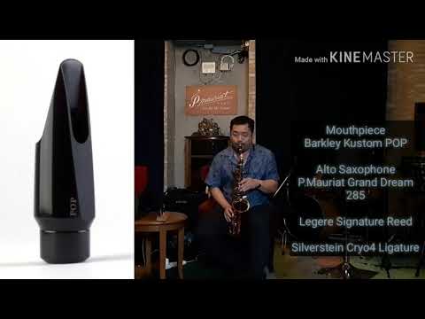 Barkley Alto Mouthpiece from Brazil All series By Koh Mr.Saxman