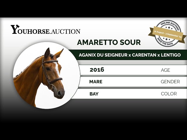 Amaretto Sour @ the show