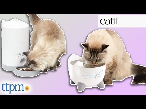 PIXI Smart Fountain and Feeder from Catit Instructions + Review!