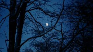 Bibio - down to the sound