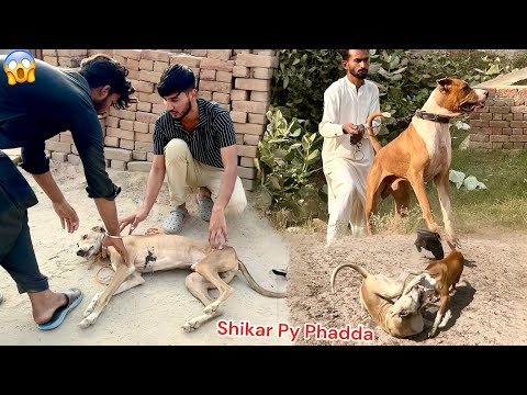 SHIKAR PY BADSHAH NY SHIKARI DOG KO MAR DIA 😨