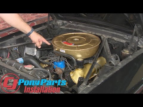 Lucy's Engine Bay Refresh | 1965 Mustang Convertible