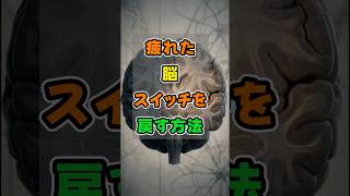 ・今日からできる【健康常識】・お金をかけない【賢い節約術】・心が静かに満たされる#脳科学 #無気力 #やる気が出ない #シニアライフ #心の健康 #脳の健康 #人生を変える #自分を大切に #前向きに
