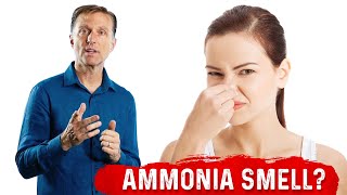 Why the Strong Ammonia Odor in My Urine on Keto? Foul Smelling Urine on Ketogenic Diet – Dr.Berg